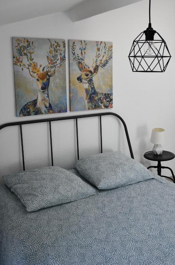 Appartement "Sacha" Au Calme En Hypercentre De Revel Revel  Kültér fotó